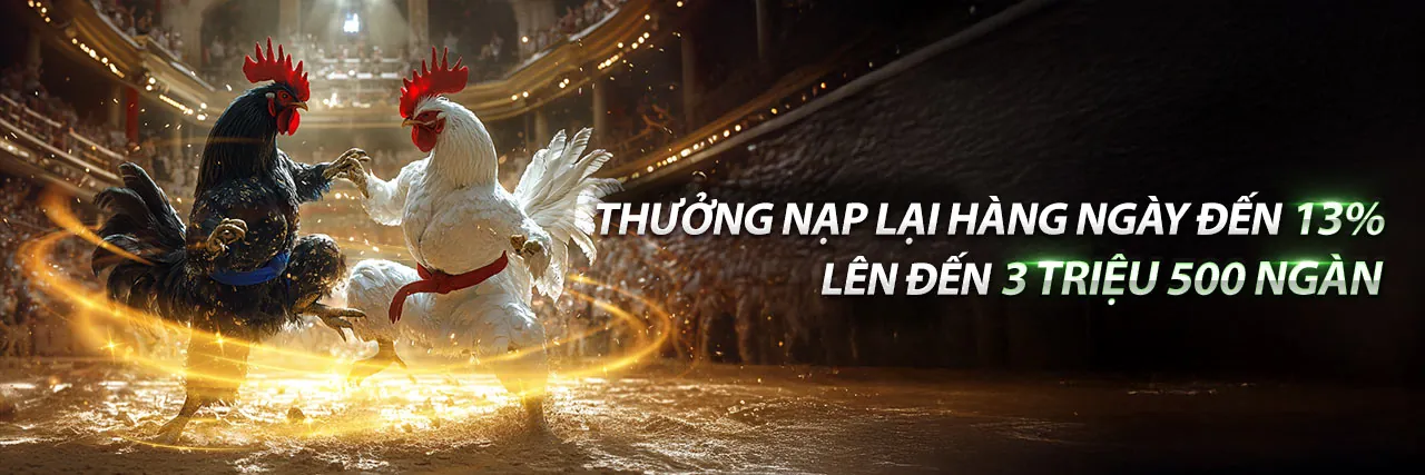 Sân đá gà kịch tính tại HY88 Link, nơi những trận đấu đỉnh cao diễn ra
