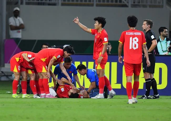 Hình ảnh các giống gà chọi dũng mãnh và đa dạng